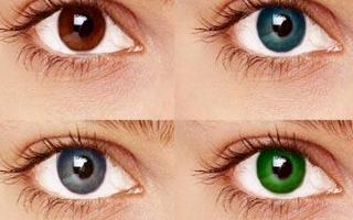 Eunice Howley's Eye Color Quiz!