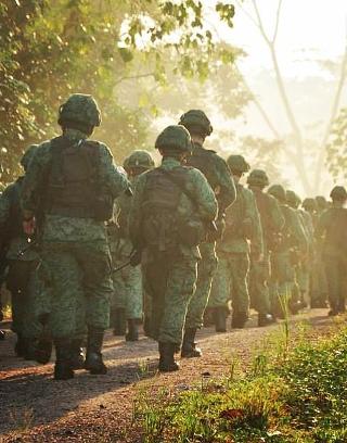 Sorting Helmet (Army)