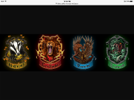 What Harry Potter house are you in? (5)