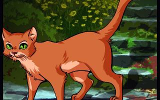 Which of my warrior cats ocs are you? (1)