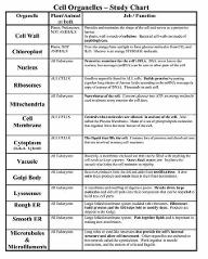 Cell Structure Quiz