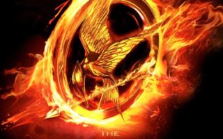 Hunger Games Quiz (1)