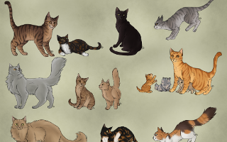 How Much Do You Really Know About Warrior Cats? (2)