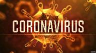 How much do you know about the Coronavirus?