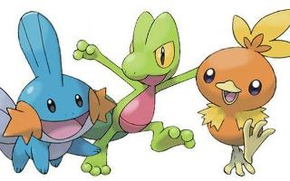 Which Hoenn starter should you pick?