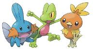 Which Hoenn starter should you pick?