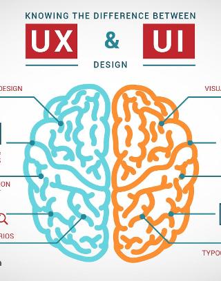 Test Your UX/UI Design Knowledge