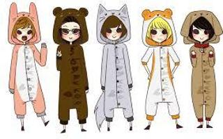 what is your perfect kigurumi