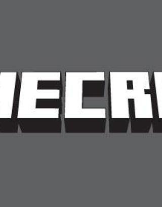 Minecraft (1)