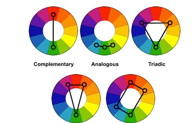 Discover Your Complementary Color Personality (2)