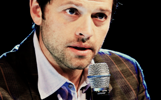 Does your brain love? (Misha Collins Edition)