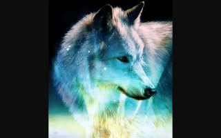 What rank in a wolf pack are u?