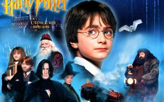 harry potter (3)