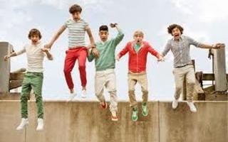 What One Direction Guy is the One for You?