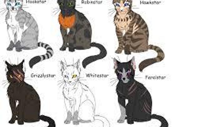 What warrior cat are you? (3)