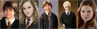 Which Harry Potter character are you? (13)