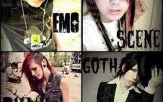 Are you emo, scene, goth or punk?