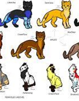 VERY hard thunderclan families.