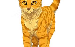 how well do you know Firestar from warriors?