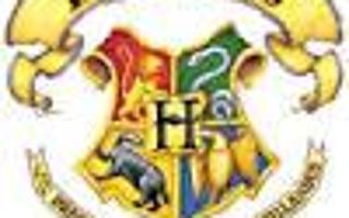 What Hogwarts House Would You Be Sorted Into?