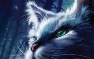 Warrior Cats Quiz (1)