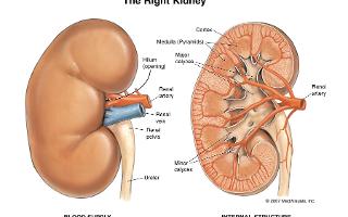 Diuretics and Thyroid disorders