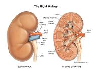 Diuretics and Thyroid disorders