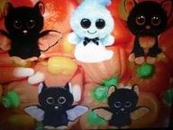 What Halloween Beanie Boo Are You?