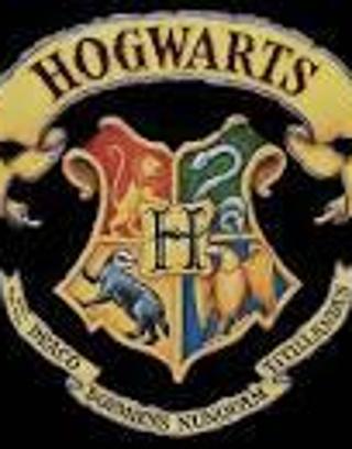 The Hogwarts Sorting Hat Quiz :)