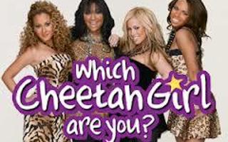 Which Cheetah Girl are you?