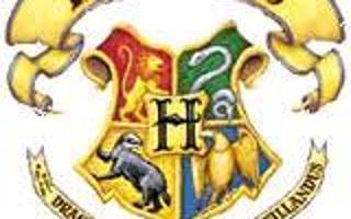 which Hogwarts house do you really belong in?