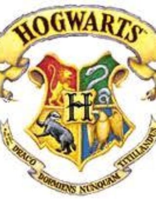 which Hogwarts house do you really belong in?