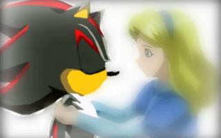 how would shadow the hedgehog fell about you