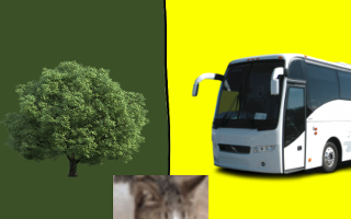 tree or bus