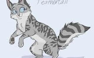 Warrior Cats: Who's your ThunderClan mentor?