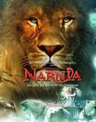 Which human in The Chronicles of Narnia are you most like?