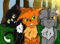 Warrior Cats: What's the Beginning Of Your Name?