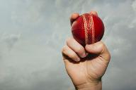 Test your knowledge of Famous Cricketers