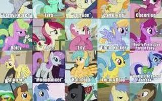 How much do you know about Mlp (my little pony)