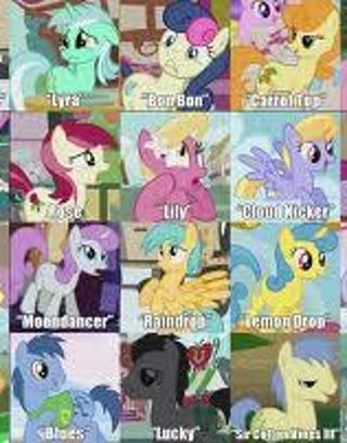 How much do you know about Mlp (my little pony)