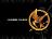 Which hunger games charcter are you?