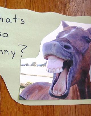 Which Funny Animal Are You?