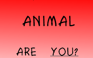 WHAT ANIMAL ARE YOU???