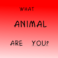 WHAT ANIMAL ARE YOU???