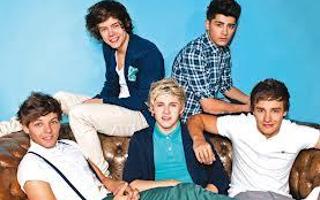 One Direction (7)