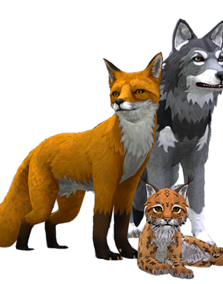 WildCraft Animal Sim Quiz