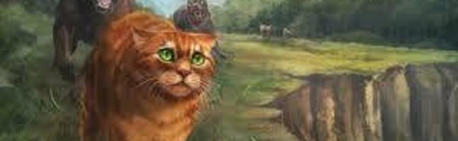 How much do you know about Firestar?