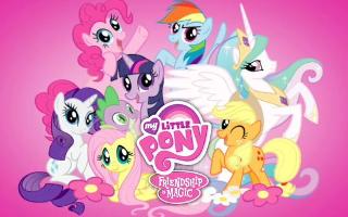 What is your pony type? (1)