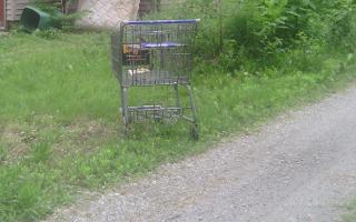 If you were a shopping cart, where would you get left?