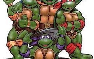 Which NINJA TURTLE are you??